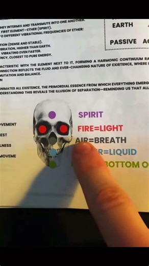 The Skull Reveals the 5 Elements of Creation | Coincidence?