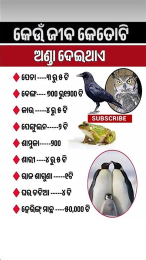 ଓଡ଼ିଆ ସାଧାରଣ ଜ୍ଞାନ || Gk Questions Answers || Knowledge #gk #odisha