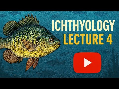 Ichthyology - Lecture 4 | Buoyancy in Fish | Swim Bladders, Oils & Adaptations Explained