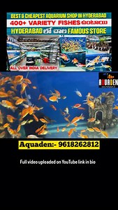 2.5K views · 17 reactions | Store name :- aquaden Store number:- 9618262812 Store location:- https://maps.google.com/?q=17.429720,78.447395 Store address:-8-2-13, Srinagar Nagar colony main road, opp. My Home Madhuban, Pratap Nagar, VST Colony, Punjagutta, Hyderabad, Telangana 500073 #instagram #instagramreels #reelsinstagram #viral #trending | Crazy mowa official | Facebook