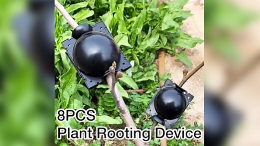 Plant Rooting Device