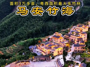 信宜平塘马安竹海，没想到山路十八弯后面藏着这么个世外桃源，导航：马安竹海#治愈系风景 #世外桃源