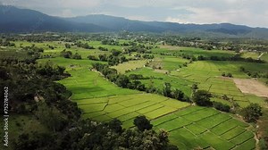 Beautiful landscape of agriculture field in Chiang Rai province, northern Thailand. Agriculture is one of the most important economic sectors in Thailand.