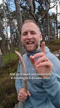 Accents in Scottish Gaelic | SpeakGaelic