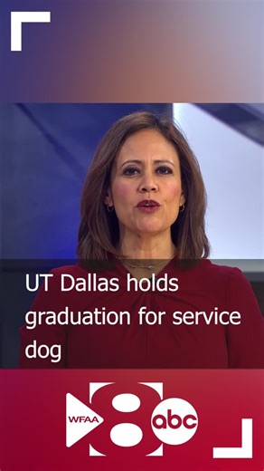 WFAA on Instagram: "Nero graduated from the school's service dogs in training program on Friday."