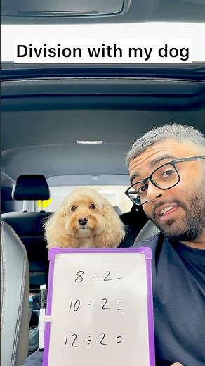 Mini Cockapoo Has a Lesson in Division 😳