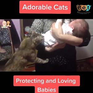 Pets Farm | Amazingly the best nanny cat ever seen | Pets Farm