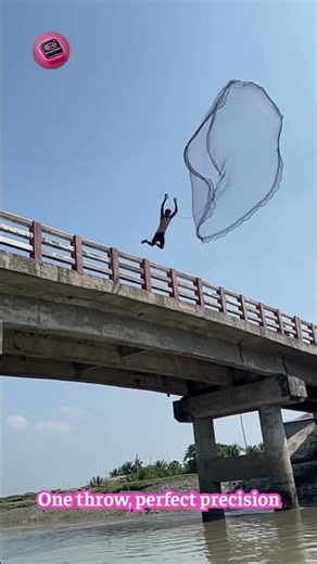 Mastering the Drop: Incredible Net Casting from a High Bridge! 🌊🎣