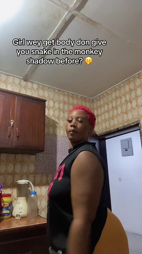 Snake in the Monkey Shadow: Explained