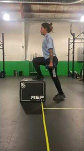 Single Leg Step Up