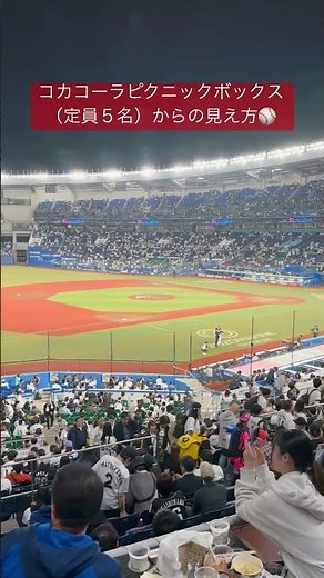 ZOZOマリン座席参考動画⚾️#プロ野球#千葉ロッテマリーンズ#福岡ソフトバンクホークス#zozoマリンスタジアム