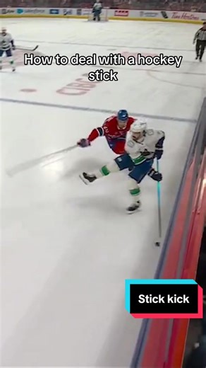 Using his secret karate training #NHL #hockey | Hockey Sticks