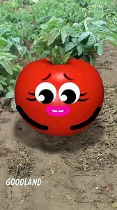 770K views · 2.8K reactions | Goodland | Tomato birth in the field  #doodles #animation #cartoon | GOOD LAND | Facebook