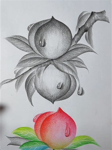 How To Draw With a Pencil: A Beginner's Guide