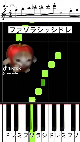 My Ordinary Life 弾き方！ #piano #myordinarylife #りんご猫