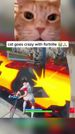 Cat Meme Fortnite Enjoying Victory - Funny Fortnite Clips