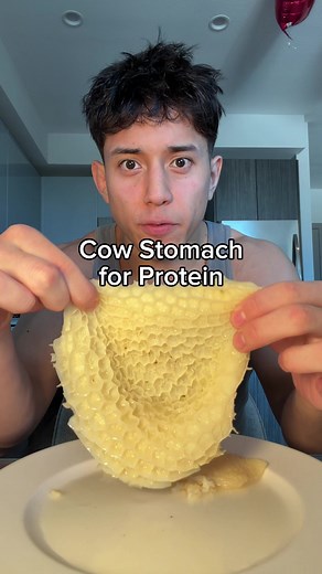 Exploring Cow Stomach Tripe: A Unique Protein Source