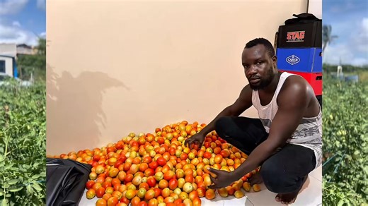 468 reactions · 12 shares |  Ruby F1 — Strong, Productive, Reliable....