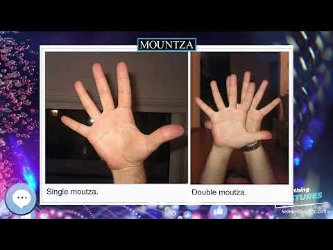 Mountza ✌️ EVERYTHING GESTURES 👍