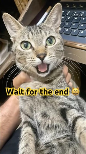 Main us Middle Class Family se Hoon | Trending Video