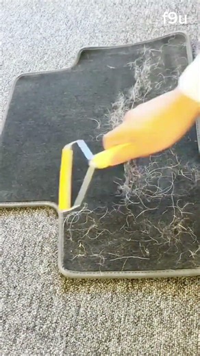 Remove Pet Hair From Carpet Quickly And Easily Today