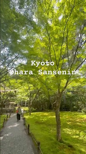 Kyoto Ohara Sanzenin | 夏の帰省・緑輝く京都大原三千院へ🌱