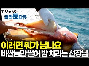 갈치 배에 잡어만 올라와도, 비싼 놈만 골라 선원들 밥 차려준다｜갈치 잡다 말고 비싼 놈 썰기 시작하는 선장님｜✨골라듄다큐 레전드 선장님✨｜극한직업｜#골라듄다큐