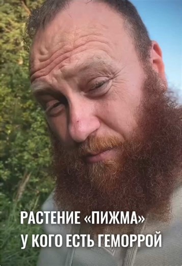 ЭТО РАСТЕНИЕ ПОМОЖЕТ. Называется оно «ПИЖМА»