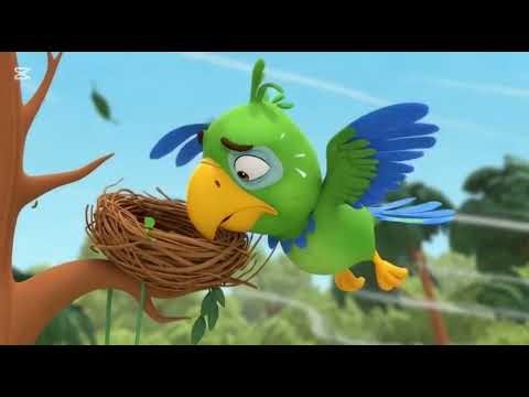 Parrot Cartoon For Kids |Cartoon For Kids