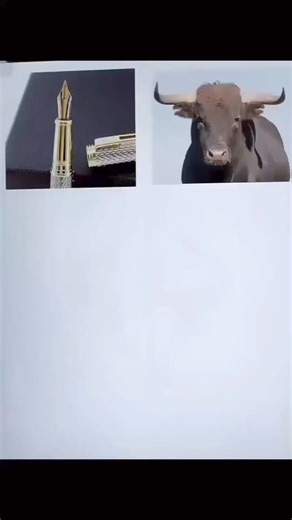 87K views · 511 reactions | Logo design ideas  #logodesinger #logodesignchallenge #logodesigner #logochallenge #logotype #logodesigns #logos #logo #logodesign #logomaker | Logo Design | Facebook