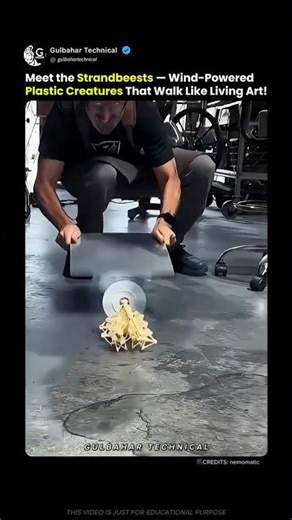 Self-Walking Machine Walks Using Only Wind Power!