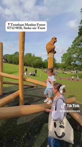 Explore the Largest Primate Enclosure in the UK