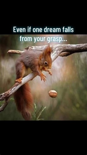 If one dream falls…. #dream #dreams #goals #writingcommunity #authorcommunity #evershade #evershadeseries #reels | Prix Gautney, Fantasy Author | Facebook