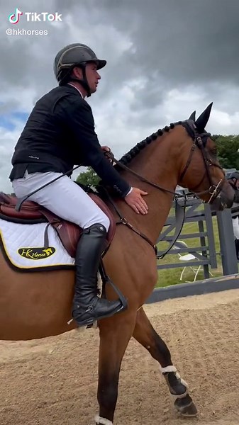 Beautiful Stallion Showcase: Incredible Horse Videos