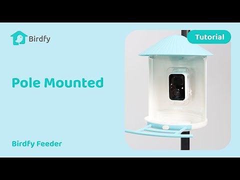 How to Mount Your Birdfy Feeder on a Pole - Birdfy Feeder Tutorial