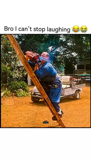 clipzzz on Instagram: "Title: The Three Stooges (2012) Creators / Film Details: Directors: Peter Farrelly & Bobby Farrelly Writers: Mike Cerrone, Peter Farrelly, Bobby Farrelly Producers: Bradley Thomas, Charles B. Wessler Based on: The classic characters created by Moe Howard, Larry Fine, and Curly Howard Genre: Comedy Release Year: 2012 Short Summary: The Three Stooges (2012) is a slapstick comedy that brings the iconic trio—Moe, Larry, and Curly—into a modern setting. Raised in an orphanage,