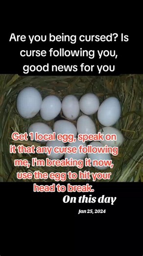 #onthisday #spiritualityandnature #cursebreaker #egg #spiritualdirection #spiritualtiktok #fypシ゚viral #foryoupage #fypシ゚viral #viral