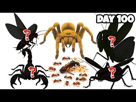 1,000 Ants Vs Golden Spider and Deadliest Insects| Simulating Ant Colony for 365 Days | 😱 ANTTREK