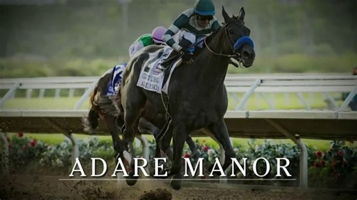 Fasig-Tipton Company November Sale TV Spot, 'Adare Manor'