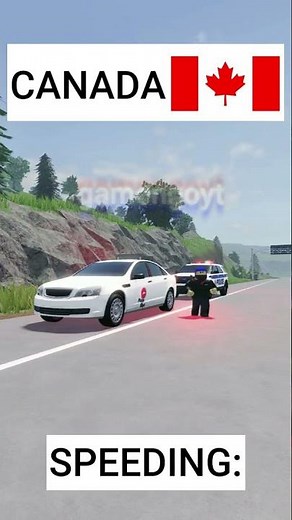 USA vs CANADA #libertycounty #roblox #gamengo