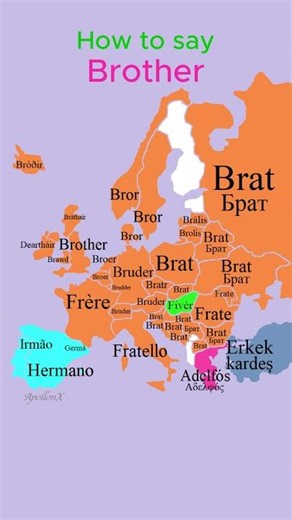 How to say Brother | Family Members | European Languages Comparison #shorts #comparison #map