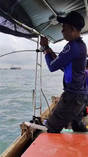 *am-hamidi86 (@midi_222)’s videos with bunyi asal - Apak 🇲🇾