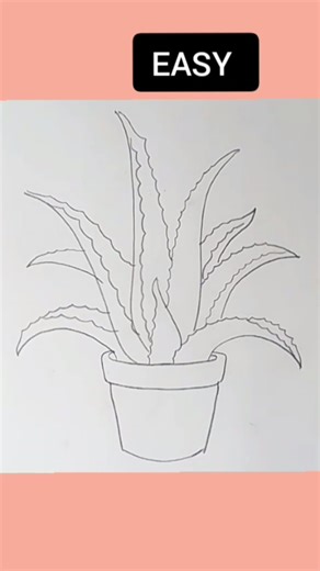 EASY Aloe vera Plant drawing