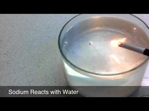 Alkali Metals React with Water