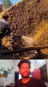 4.5K views | Potato high pressure water gun cleaning process | Mouse trap 2022 | Facebook