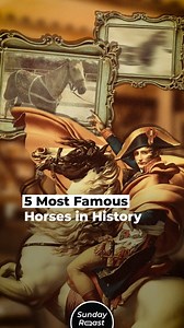 5 Most Famous Horses in History | Sunday Roast