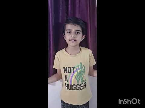 Different types of houses