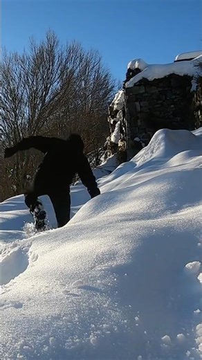 Vizzavona #motivation #corse #corsica #mindset #snow