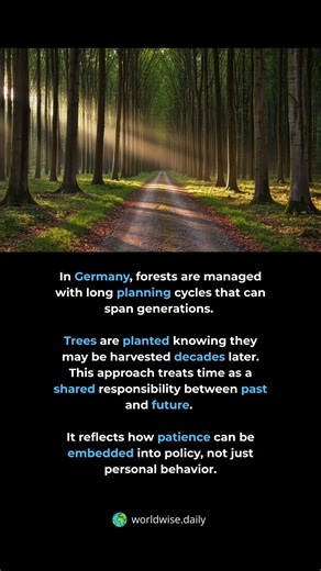 Planting forests for future generations. Germany manages forests with plans spanning ...