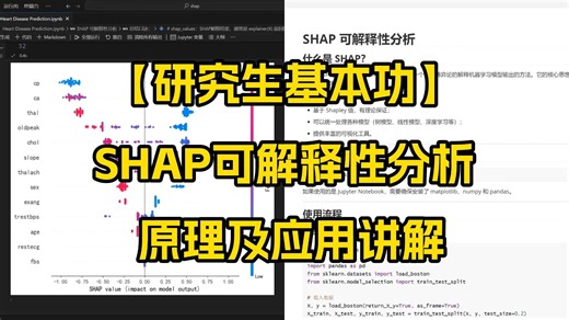 【研究生基本功】详细讲解SHAP可解释性分析绘图，特征重要性和模型解释性等！